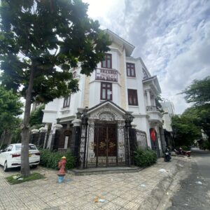 BIỆT THỰ NGHỆ THUẬT 4 TẦNG , ĐẲNG CẤP HIẾM CÓ TẠI LÊ THÚC HOẠCH 16M x 9M ĐÃ GIẢM CÒN 32 TỶ TL